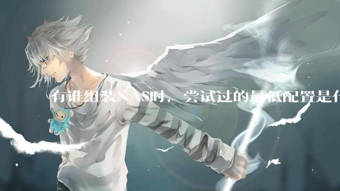 有谁组装NAS时，尝试过的最低配置是什么？