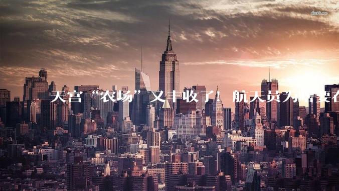 天宫“农场”又丰收了！航天员为啥要在太空当“菜农”_空间站_生菜_植物