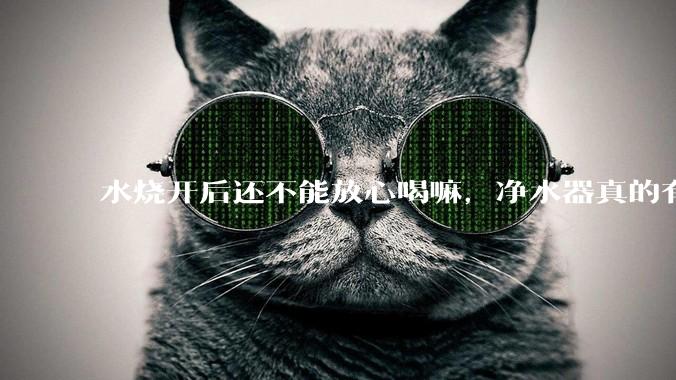 水烧开后还不能放心喝嘛，净水器真的有必要装一个嘛？