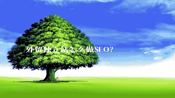 外贸独立站怎么做SEO？