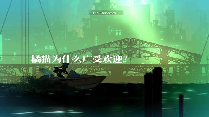橘猫为什么广受欢迎？