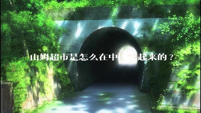 山姆超市是怎么在中国火起来的?