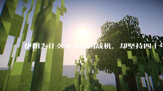 伊朗为什么不买中国战机，却坚持四十年用老旧的苏联米格29、美国F14雄猫战斗机?